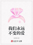 我们永远不变的爱在线阅读