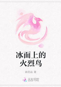 冰面上的火烈鳥