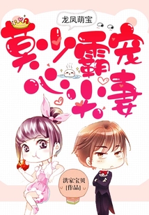 龙凤萌宝:莫少霸宠心尖妻