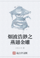 烟波浩渺之燕翅金雕
