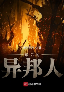 最后的异邦人