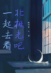 一起去看北極光吧