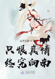 只恨真情終究向南