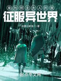 身為領(lǐng)主大人的我征服異世界