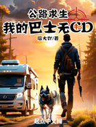 公路求生：我的巴士无CD