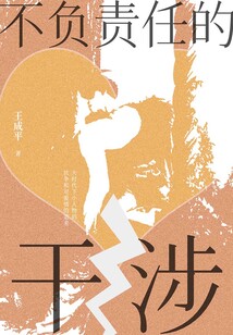 不負責任的干涉