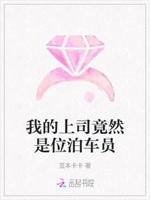 我的上司竟然是位泊車員