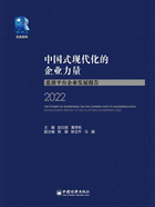 中国式现代化的企业力量：蓝迪平台企业发展报告（2022）