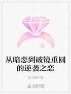 从暗恋到破镜重圆的逆袭之恋在线阅读
