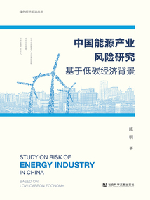 中国能源产业风险研究：基于低碳经济背景