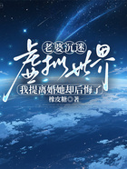 老婆沉迷虚拟世界,我提离婚她却后悔了在线阅读