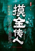 摸金传人7:孤岛惊魂在线阅读