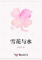 雪花與水在線閱讀