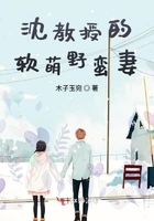 沈教授的軟萌野妻在線閱讀
