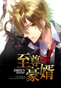 至尊豪婿