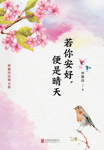 有間文庫：若你安好，便是晴天