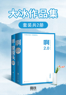 大冰作品集(套装共2册)