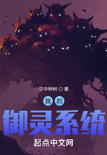 我的御灵系统