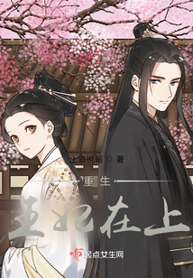 重生王妃在上