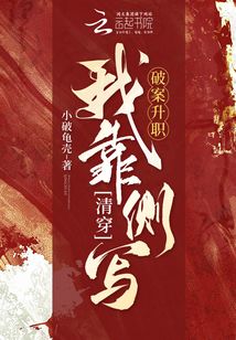 清穿：我靠側寫破案升職