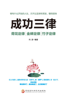 成功三律：荷花定律、竹子定律、金蝉定律在线阅读