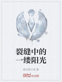 裂縫中的一縷陽光