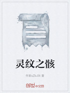 灵纹之骸在线阅读