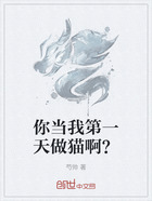 你当我第一天做猫啊?在线阅读