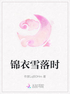 锦衣雪落时在线阅读