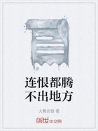 连恨都腾不出地方在线阅读