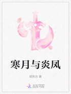 寒月与炎凤在线阅读