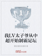 我LV太子爺從中超開始制霸足壇在線閱讀