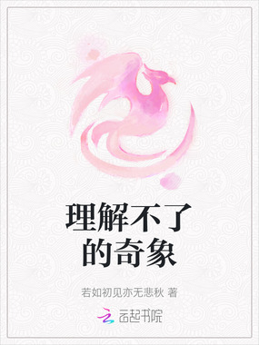 理解不了的奇象在线阅读