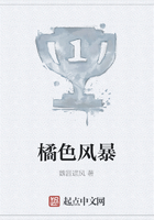 橘色风暴在线阅读
