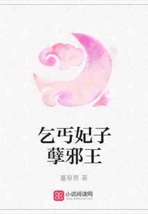乞丐妃子孽邪王