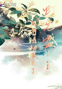 燈芯盛