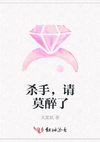 殺手，請莫醉了在線閱讀