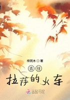 去往拉薩的火車在線閱讀