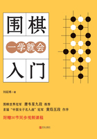 围棋入门一学就会在线阅读