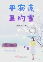 平安夜里的雪在線閱讀