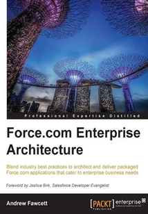 Force.com Enterprise Architecture