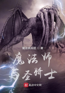 魔法師與圣騎士
