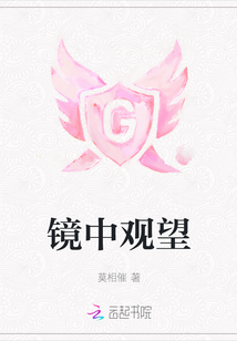 鏡中觀望