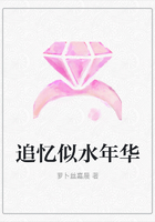 追忆似水年华在线阅读