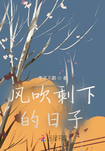 風吹剩下的日子