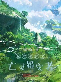 全職法師之流痕