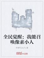 全民觉醒:我能召唤像素小人在线阅读