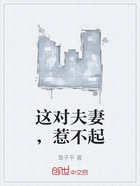 这对夫妻,惹不起在线阅读