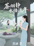 茶烟静水悟流年在线阅读