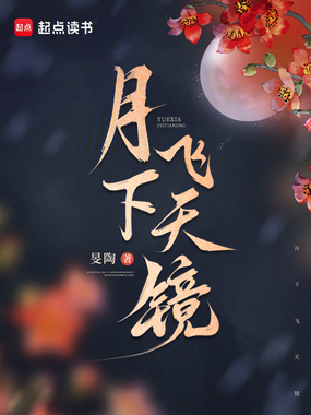 月下飞天镜在线阅读